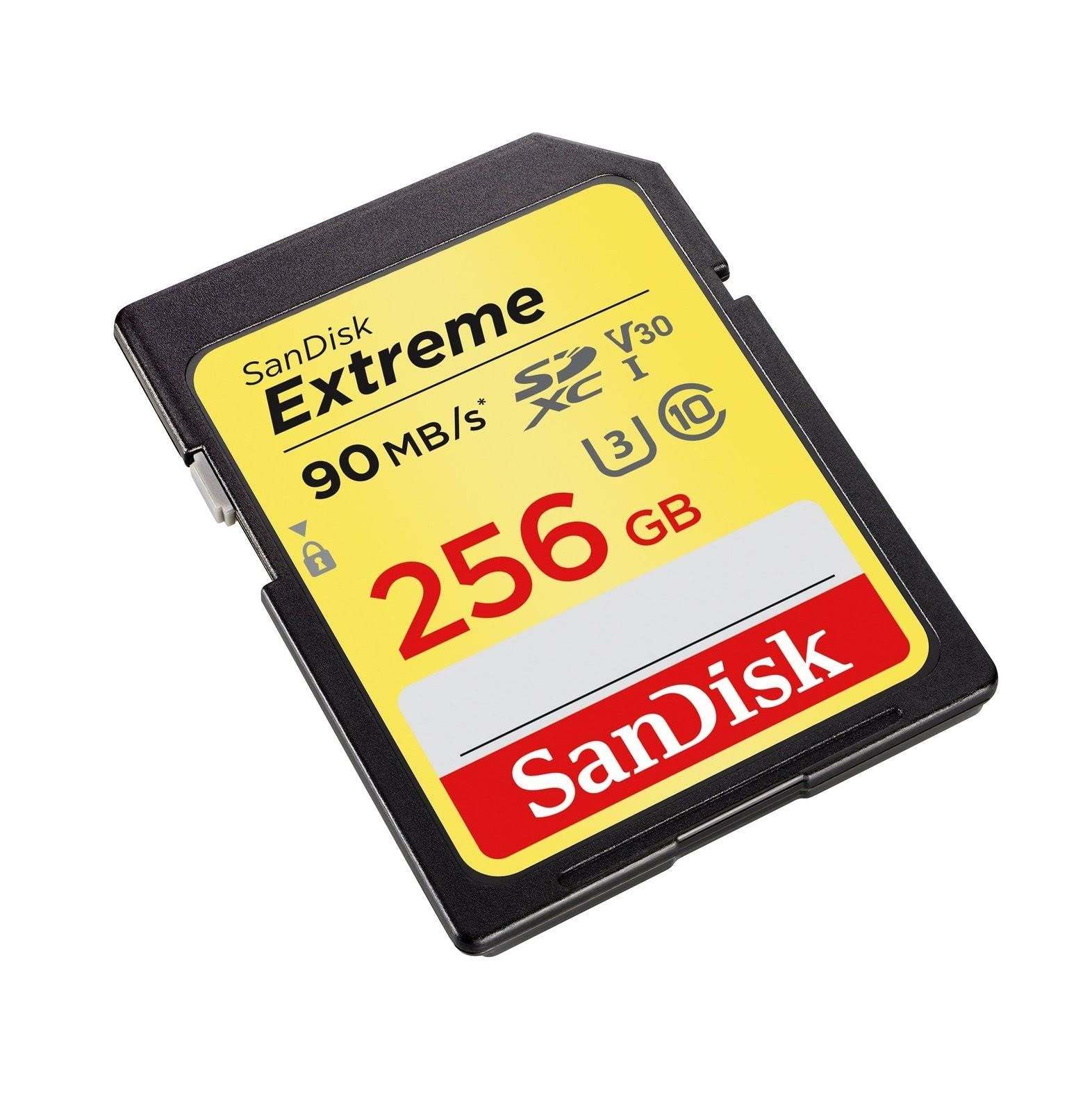 256GB SDXC UHS-I Memory Card Q6255