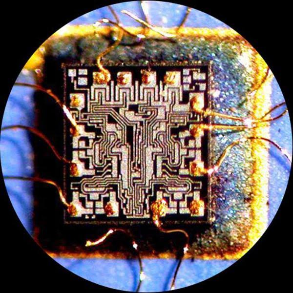 7X-45X Simul-Focal Stereo Zoom Microscope on Boom Stand with Fluorescent Light and 5MP USB3 Camera Y329703