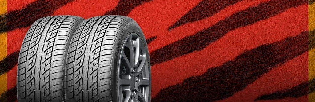 215/45R18 93W All-Season Radial Car Tire V6417