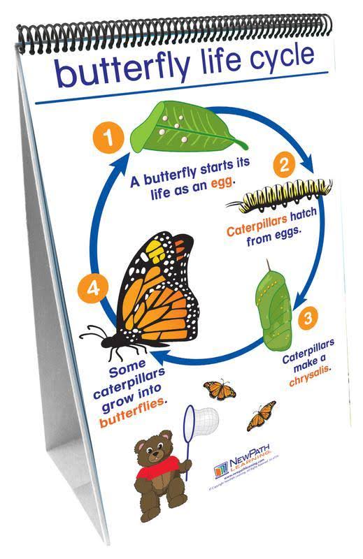Early Childhood Science Readiness Flip Charts Set of 7 X735