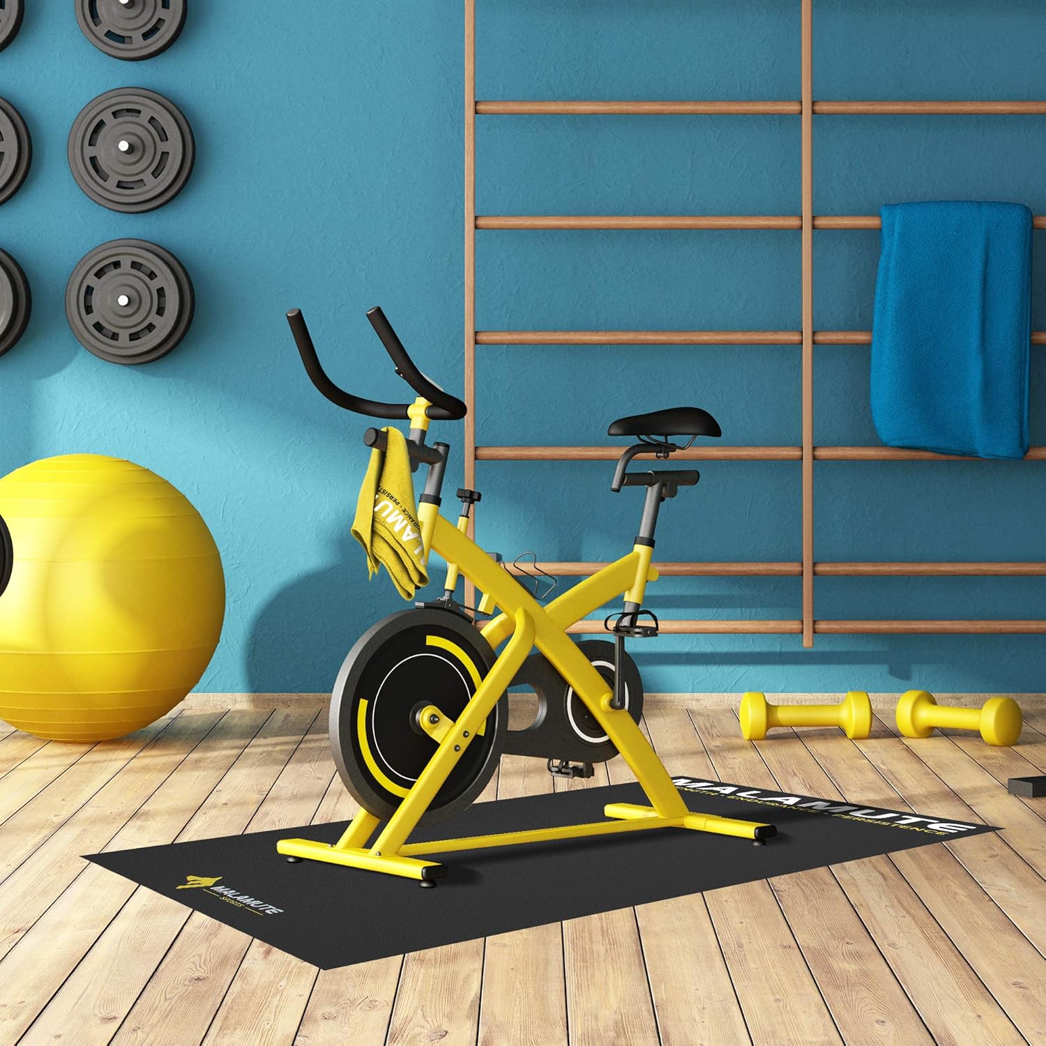 Indoor Bike Mat, Pack of 2 R424