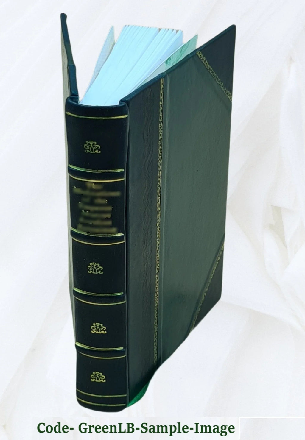 Leather Bound Book H444