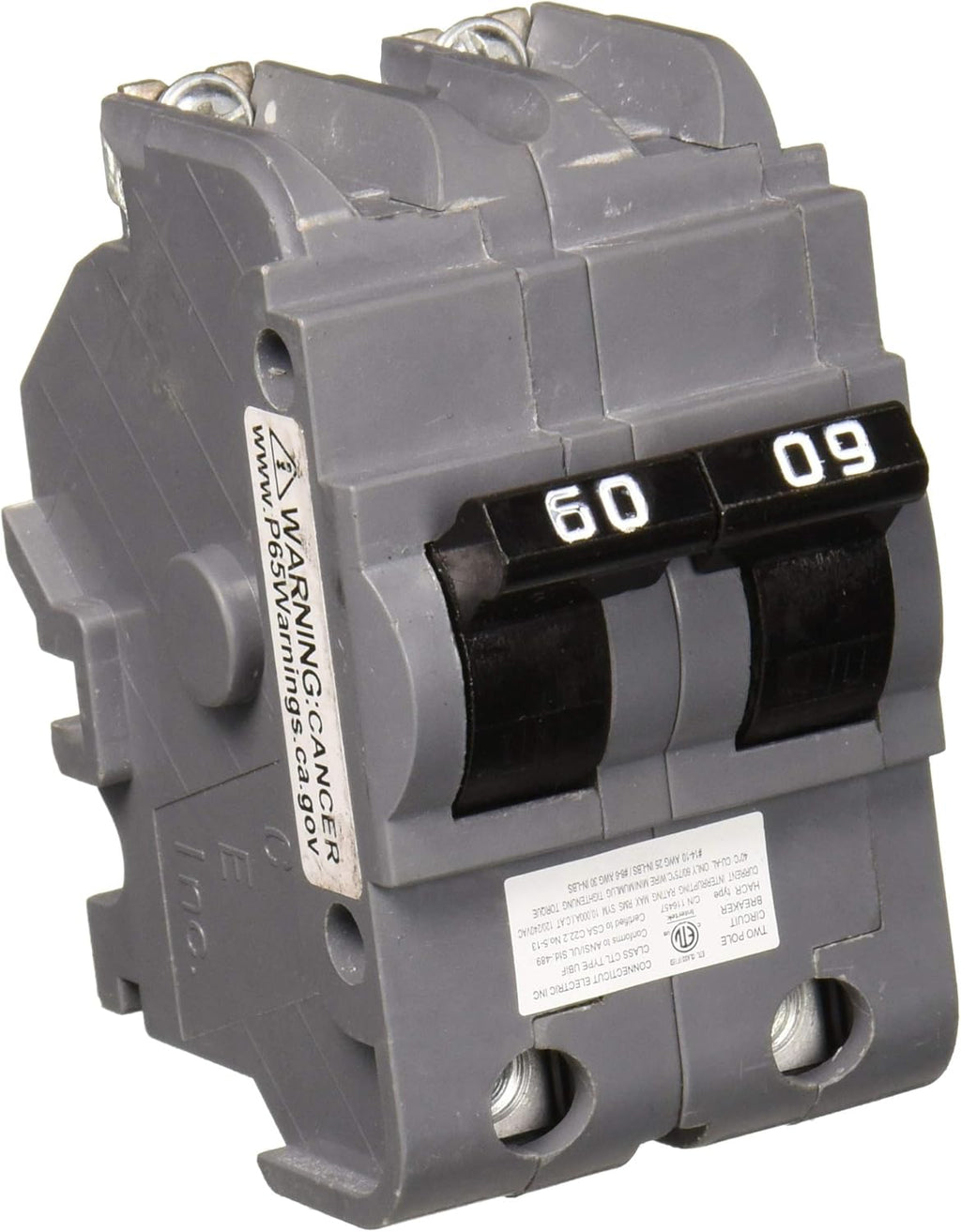 2P 60A Bolt-On Type NB Replacement Pack of 2 P757285