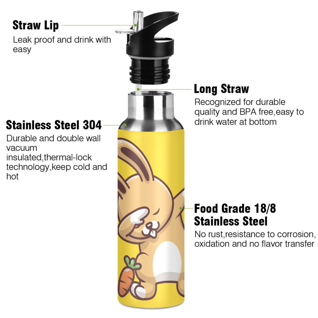 Stainless Steel Vacuum Insulated Water Bottle with Straw Lid 20 OZ R623
