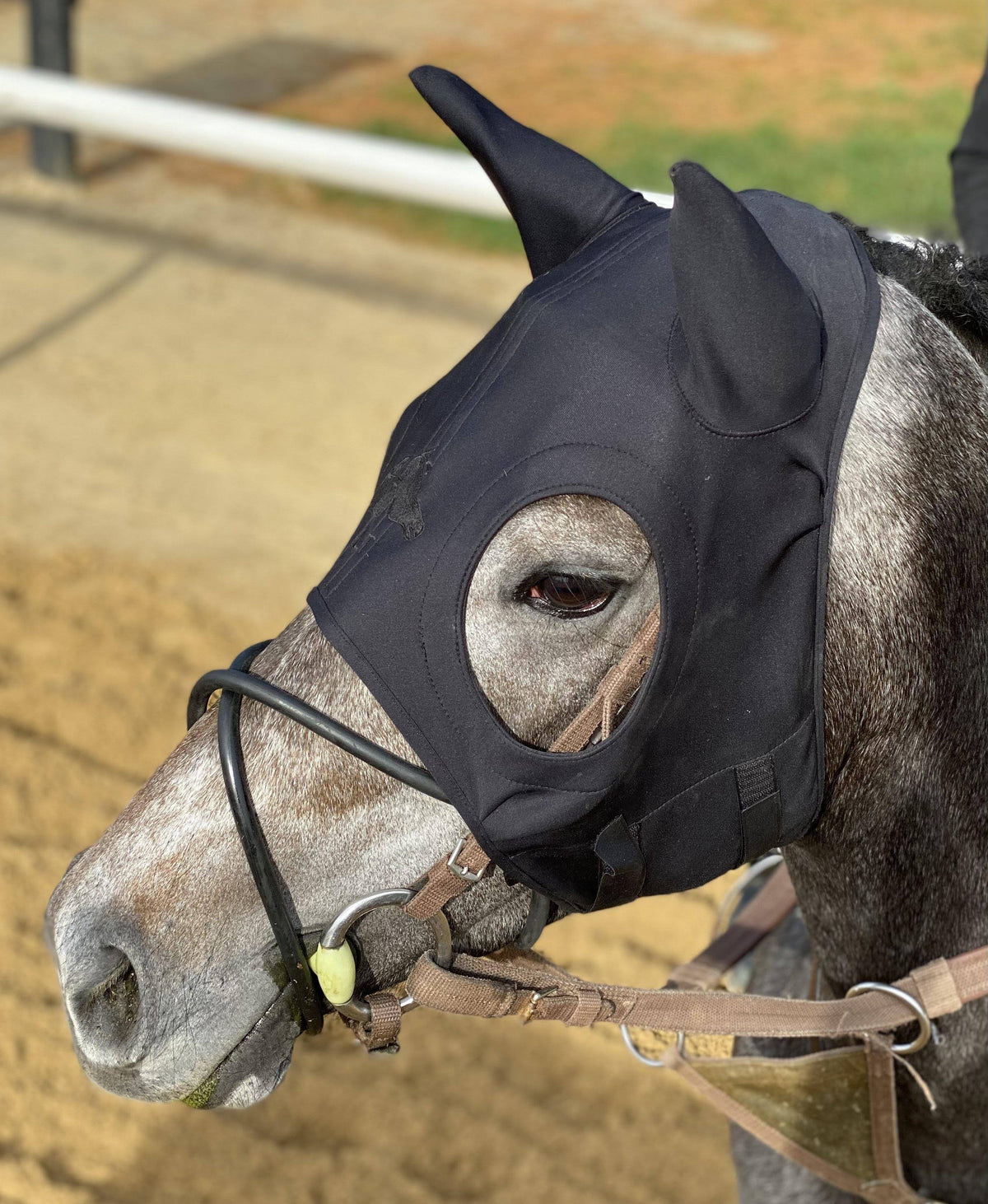 Black Velcro Mask with Ears Medium T884