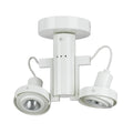 White Two Light Ceiling Mount Light U67708