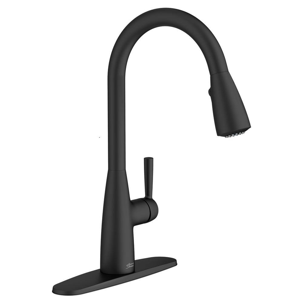 Matte Black Single-Handle Pull-Down Sprayer Kitchen Faucet H20194