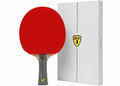 Table Tennis Paddle L273801