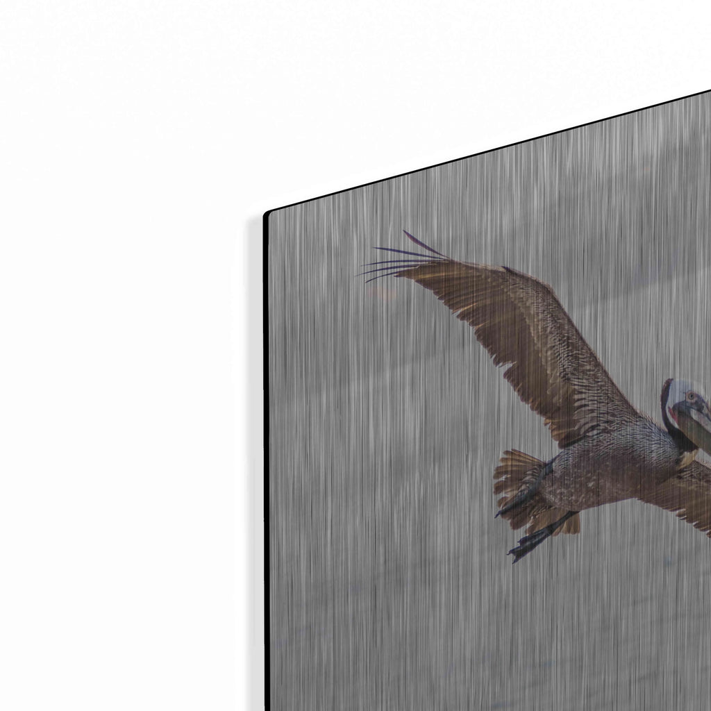 Metal Wall Art, 16"x12" O267
