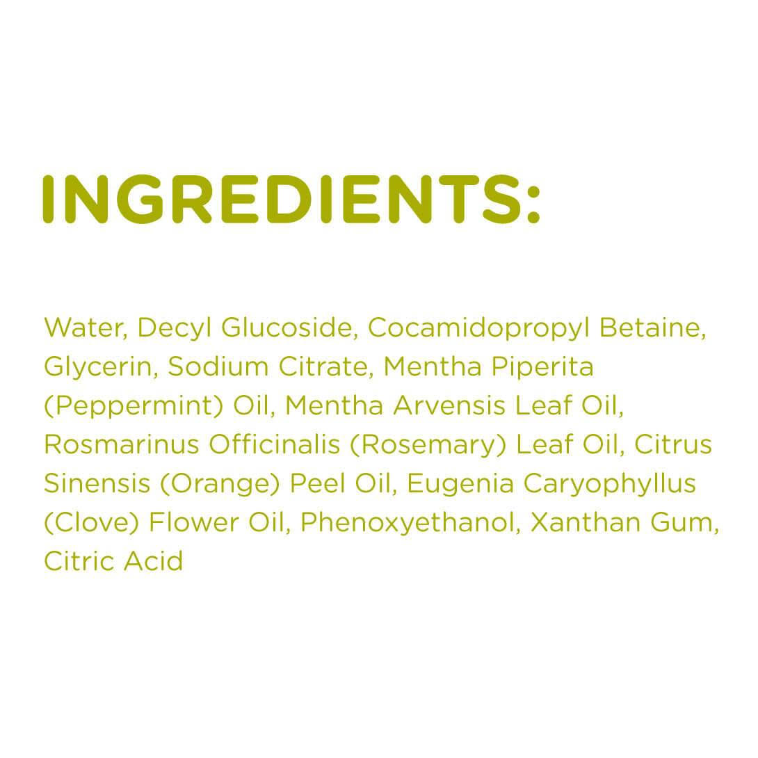 Rosemary + Peppermint Laundry Liquid I57112