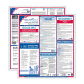 Kansas English Federal/State Labor Law Poster Service L183