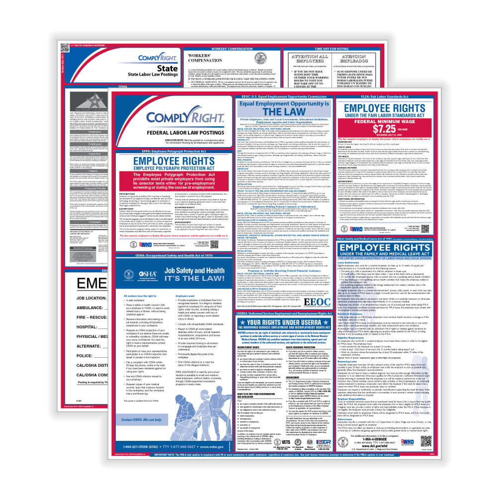 Kansas English Federal/State Labor Law Poster Service L183