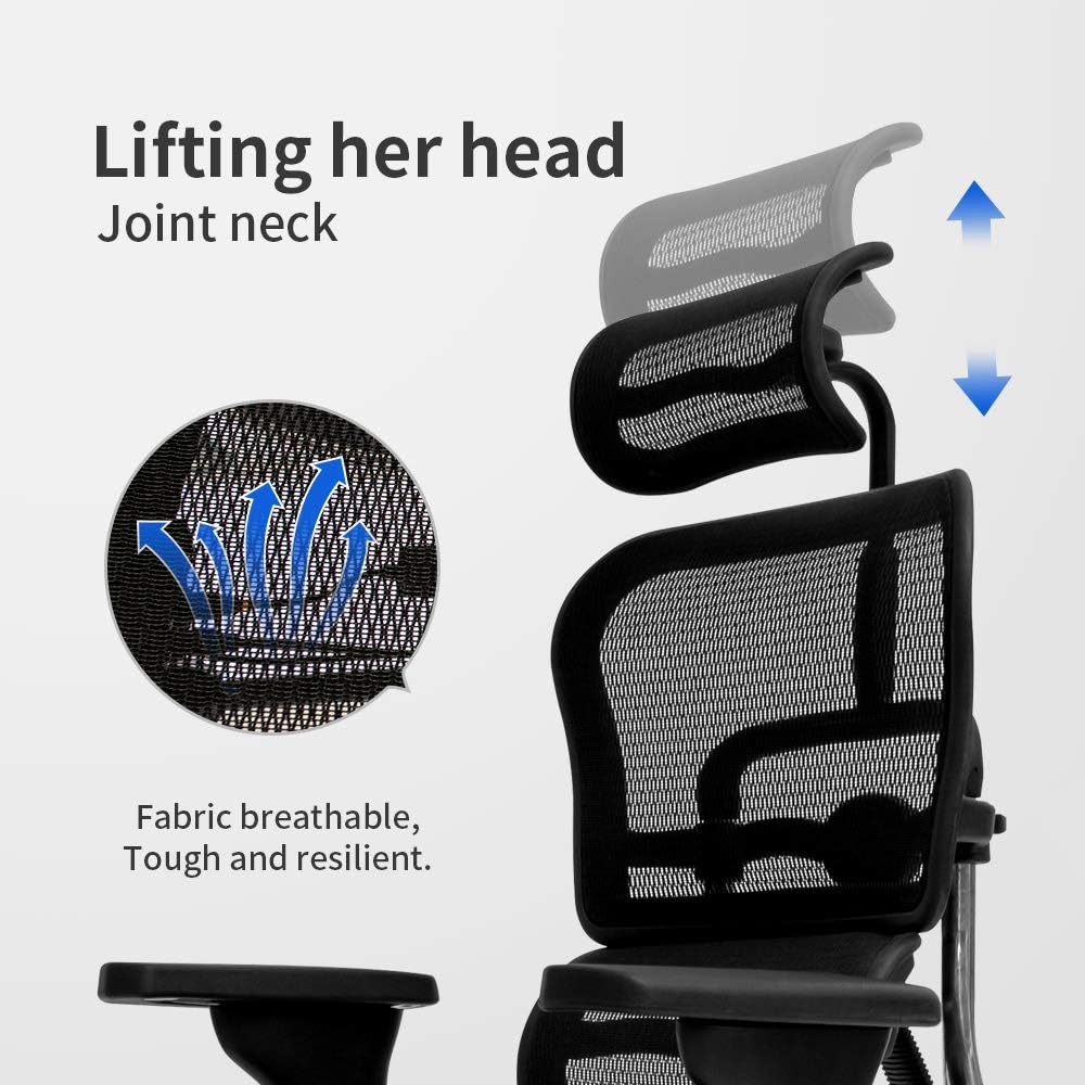 Black Mesh High Back Office Chair with Headrest and Lumbar Support S1147