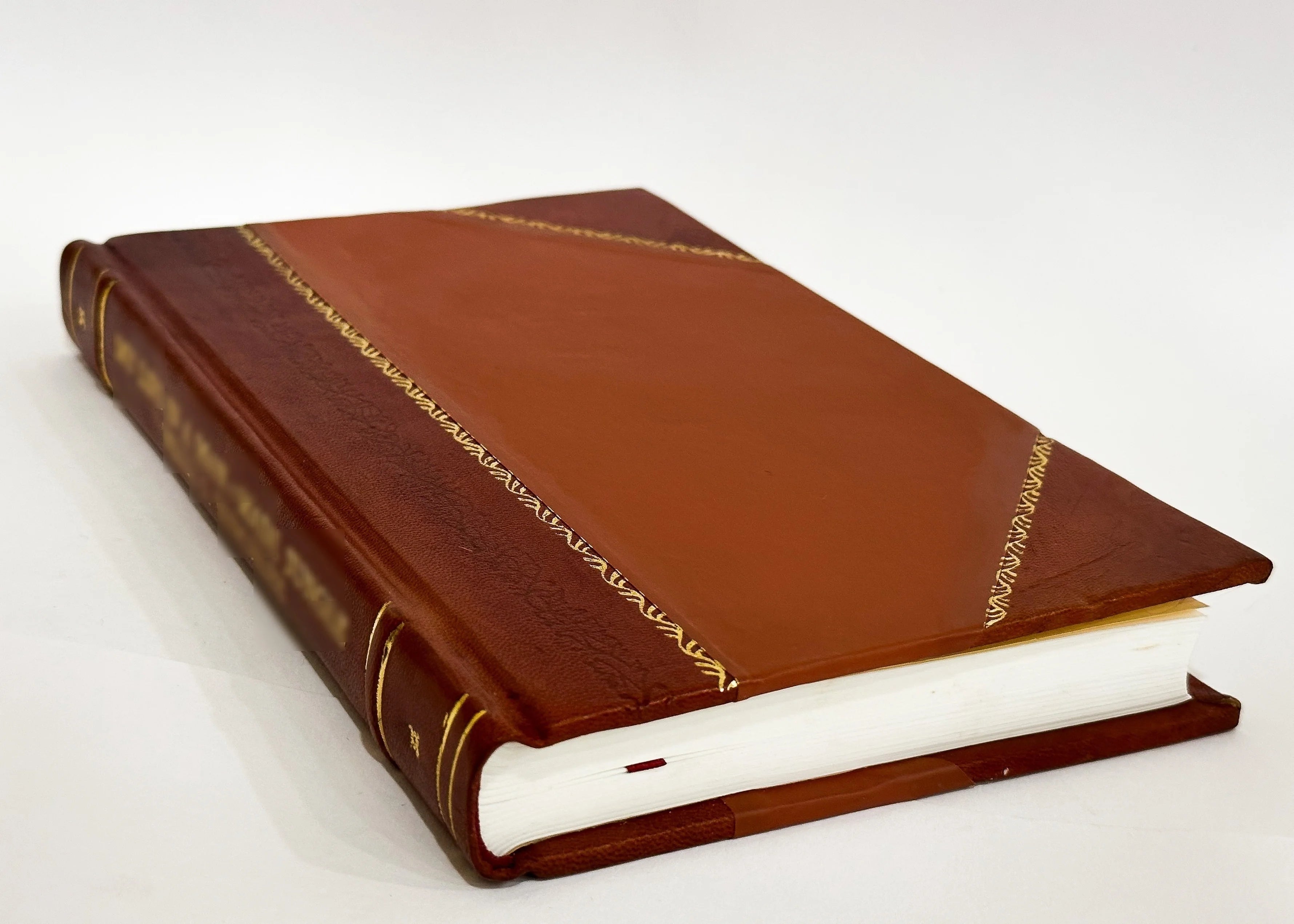 Leather Bound Book Y395