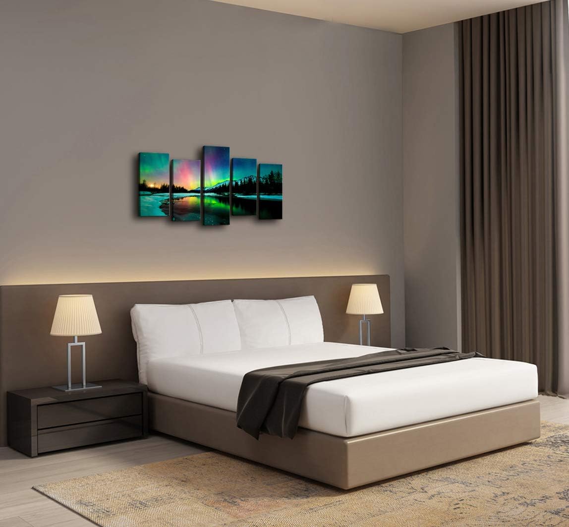 5 Pieces Green Aurora Borealis Scenery Canvas Prints Ready to Hang F1926