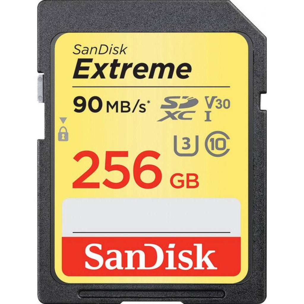 256GB SDXC UHS-I Memory Card Q6255
