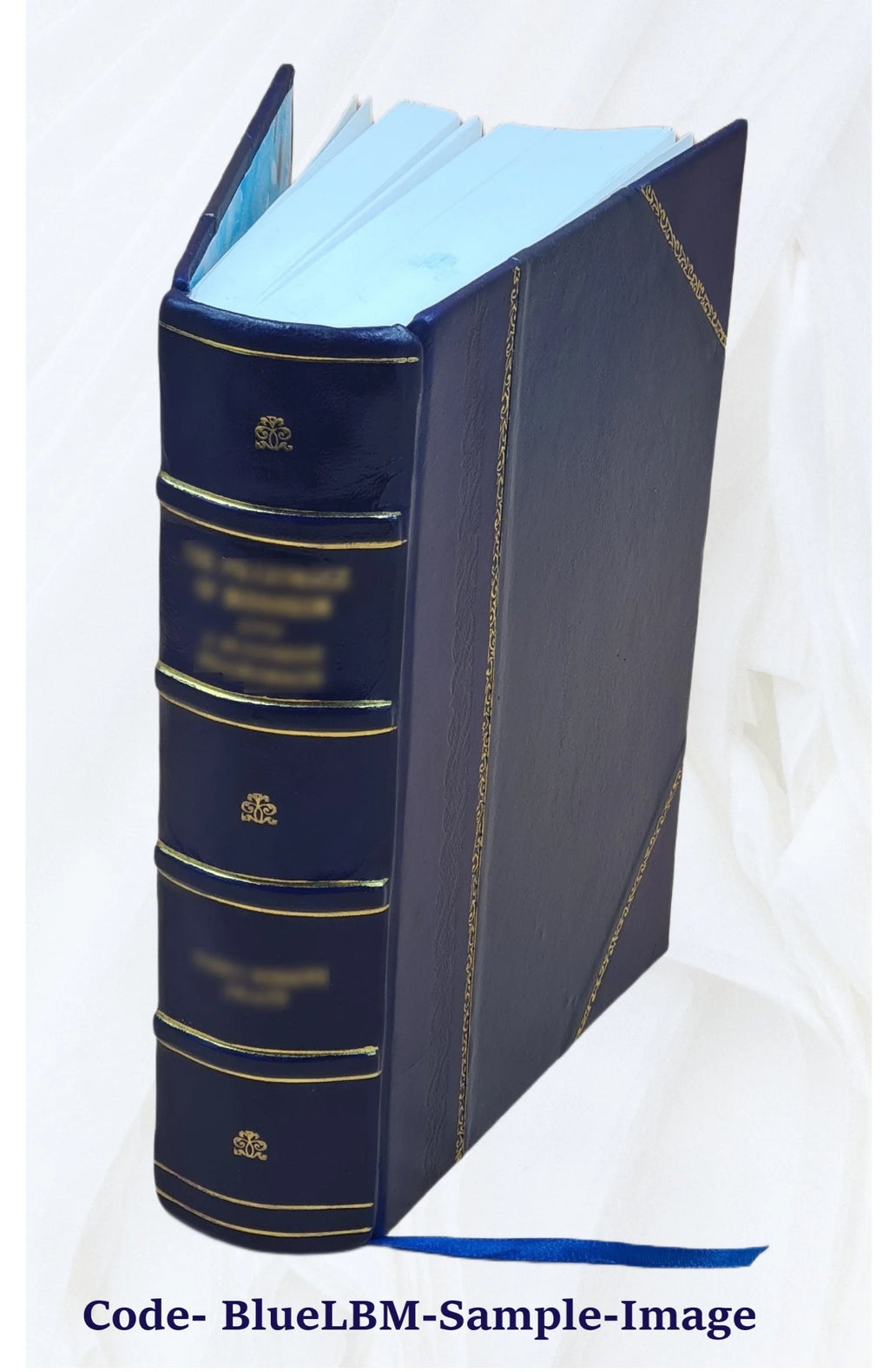Leather Bound Dictionary F321524