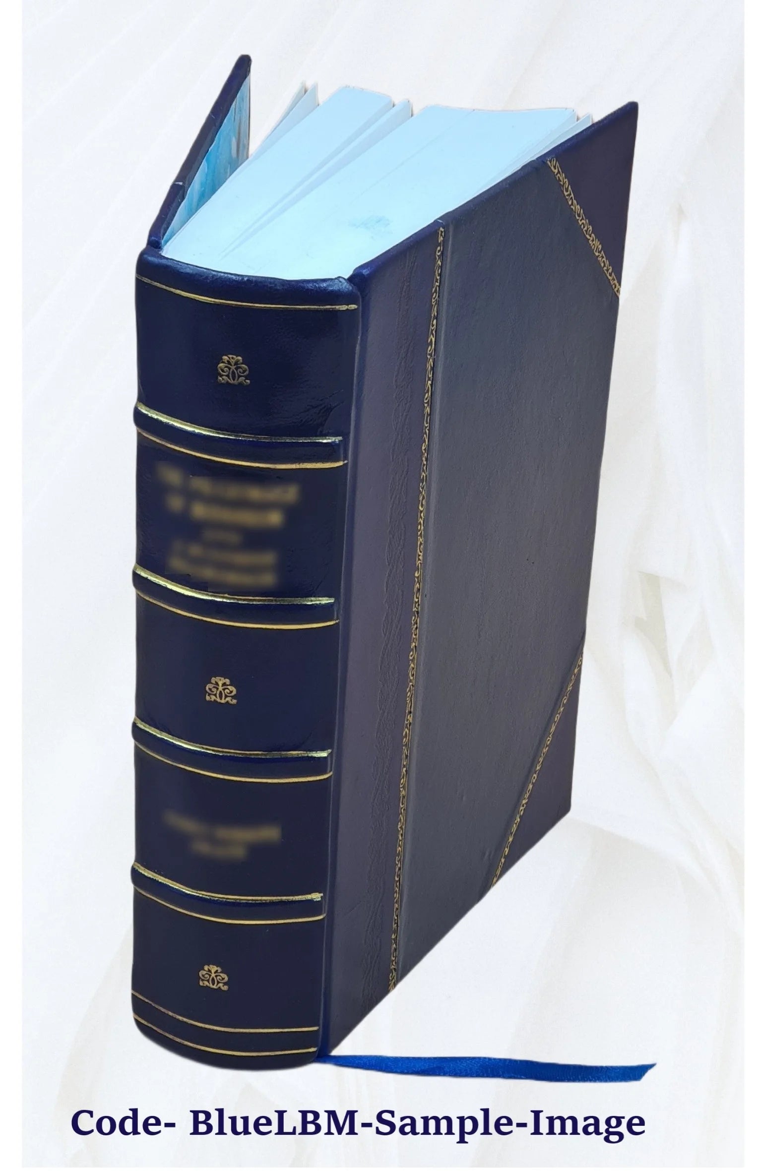 Leather Bound Dictionary F321524