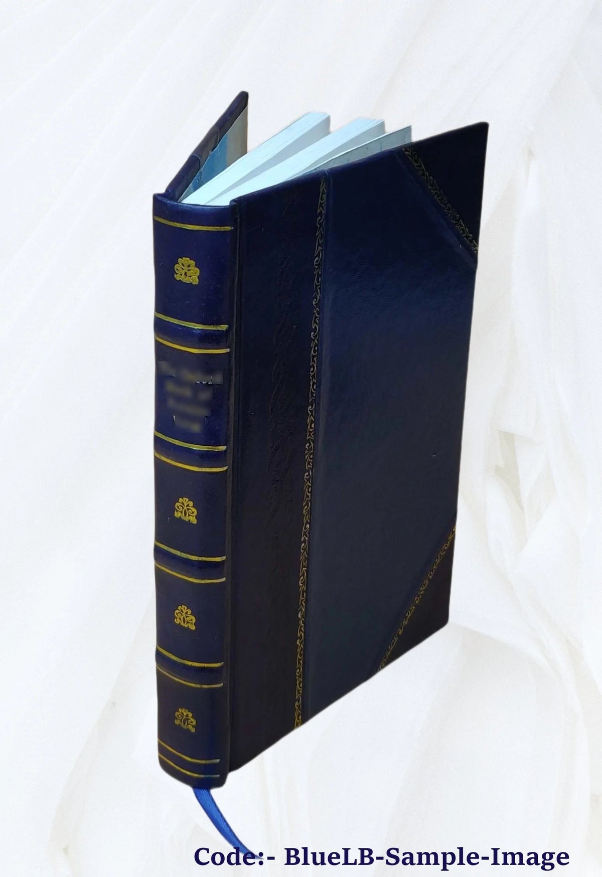 Leather Bound Book H444