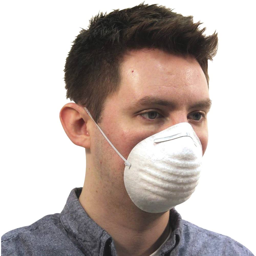 White Disposable Dust Mask H662667
