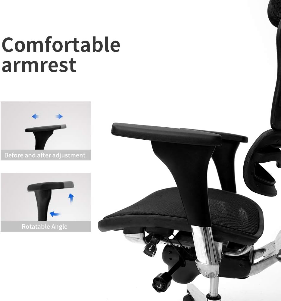 Black Mesh High Back Office Chair with Headrest and Lumbar Support S1147