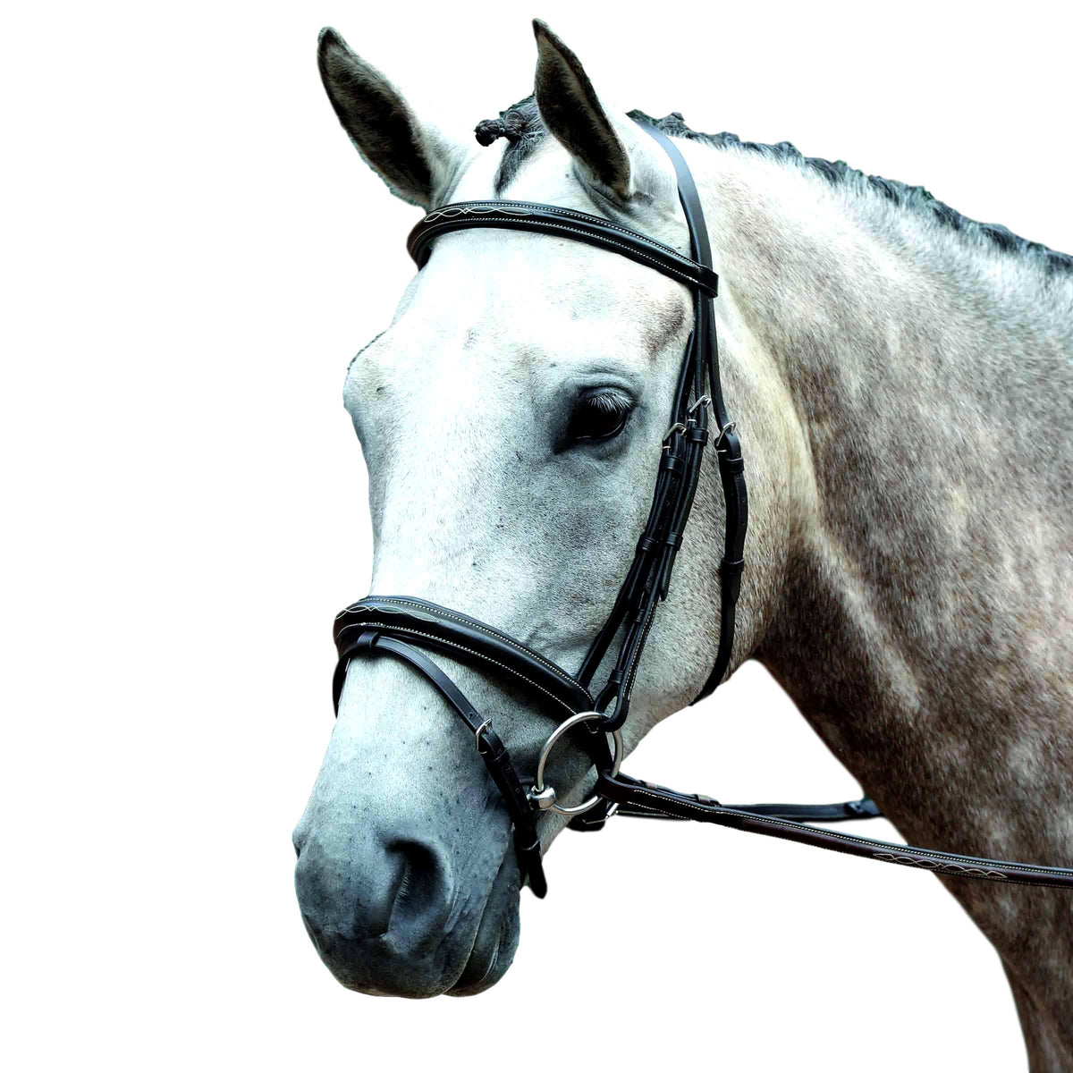Padded Raised Fancy Stitched Flash Bridle - Warmblood / Brown X205