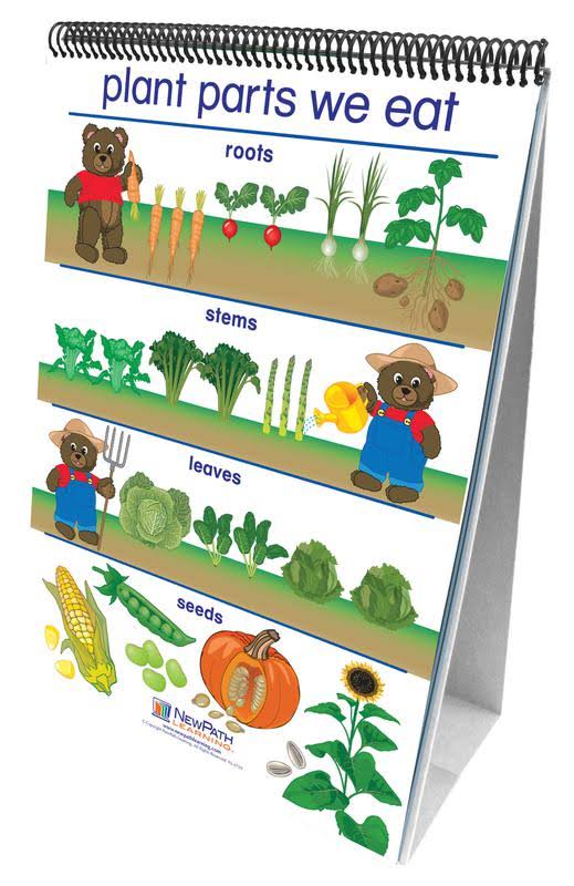 Early Childhood Science Readiness Flip Charts Set of 7 X735