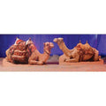 Camel Standee E4669