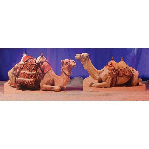 Camel Standee E4669