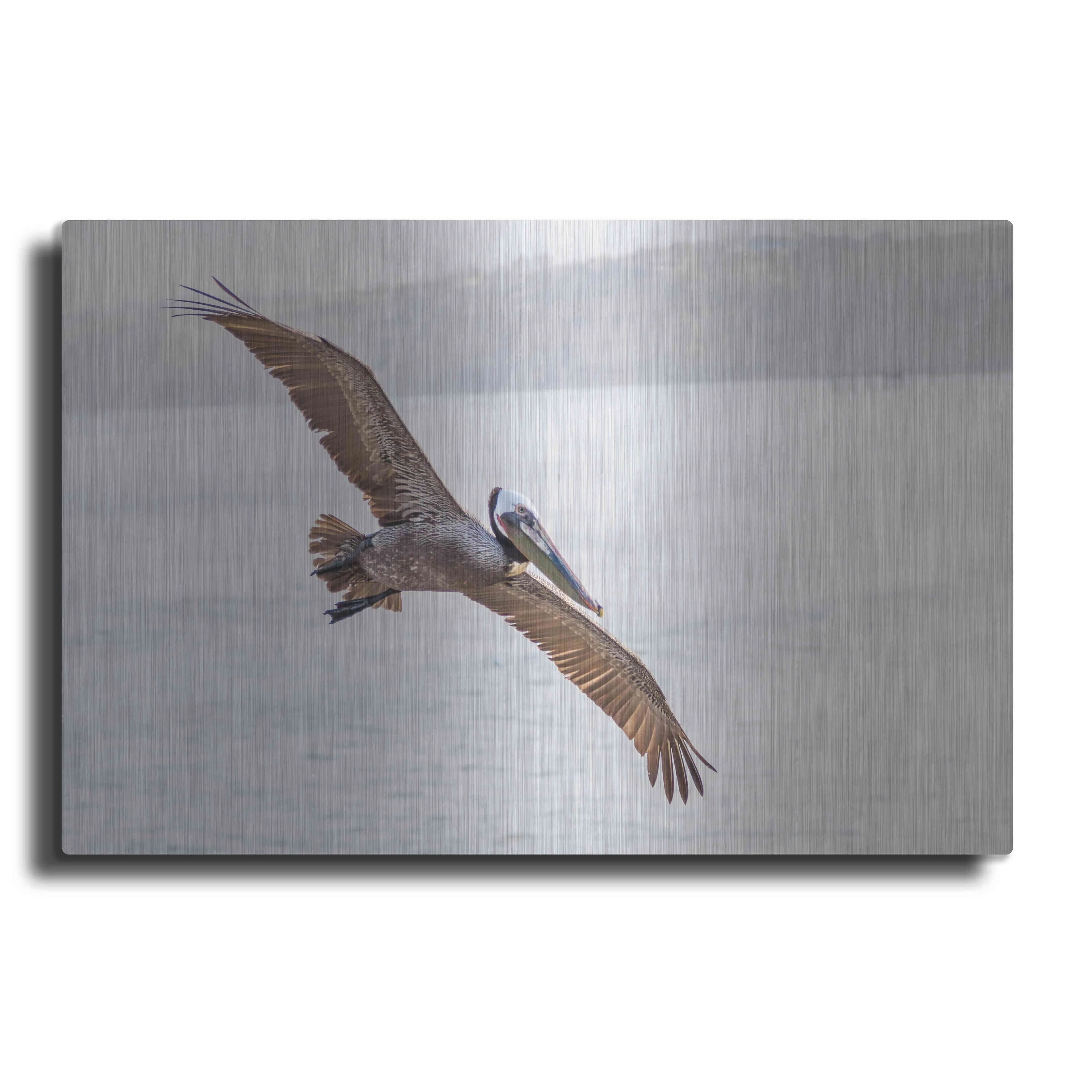 Metal Wall Art, 16"x12" O267