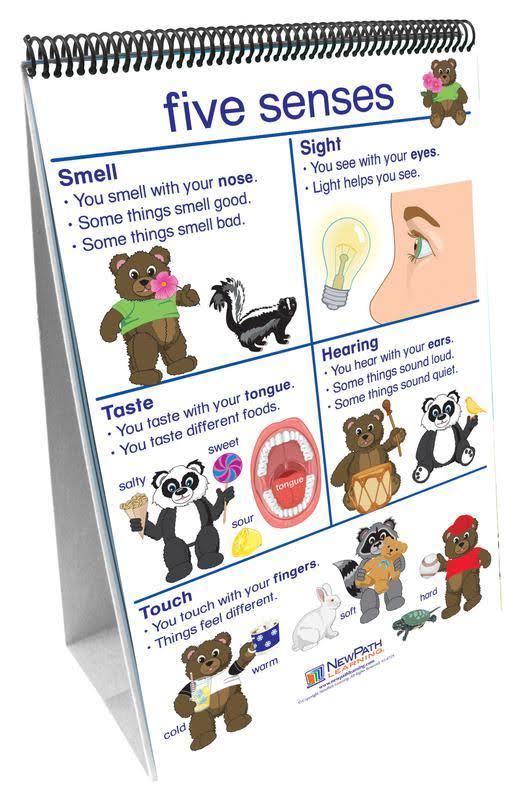 Early Childhood Science Readiness Flip Charts Set of 7 X735