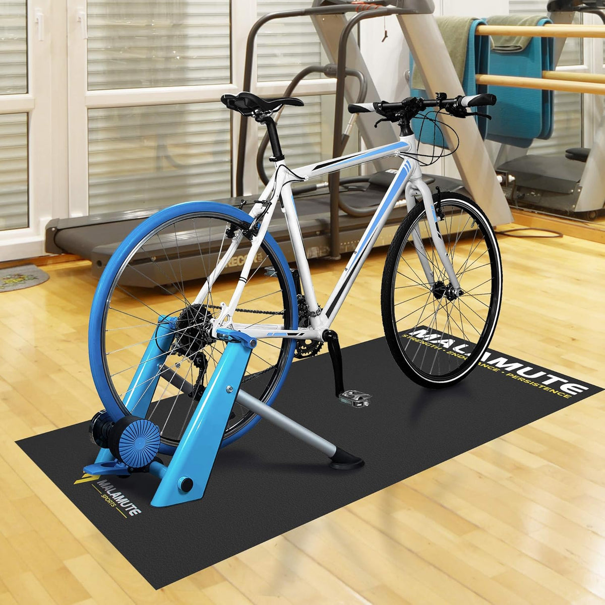 Indoor Bike Mat, Pack of 2 R424
