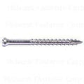 893 Pcs 304 Stainless Steel Star Drive Trim Head Deck Screws O7291