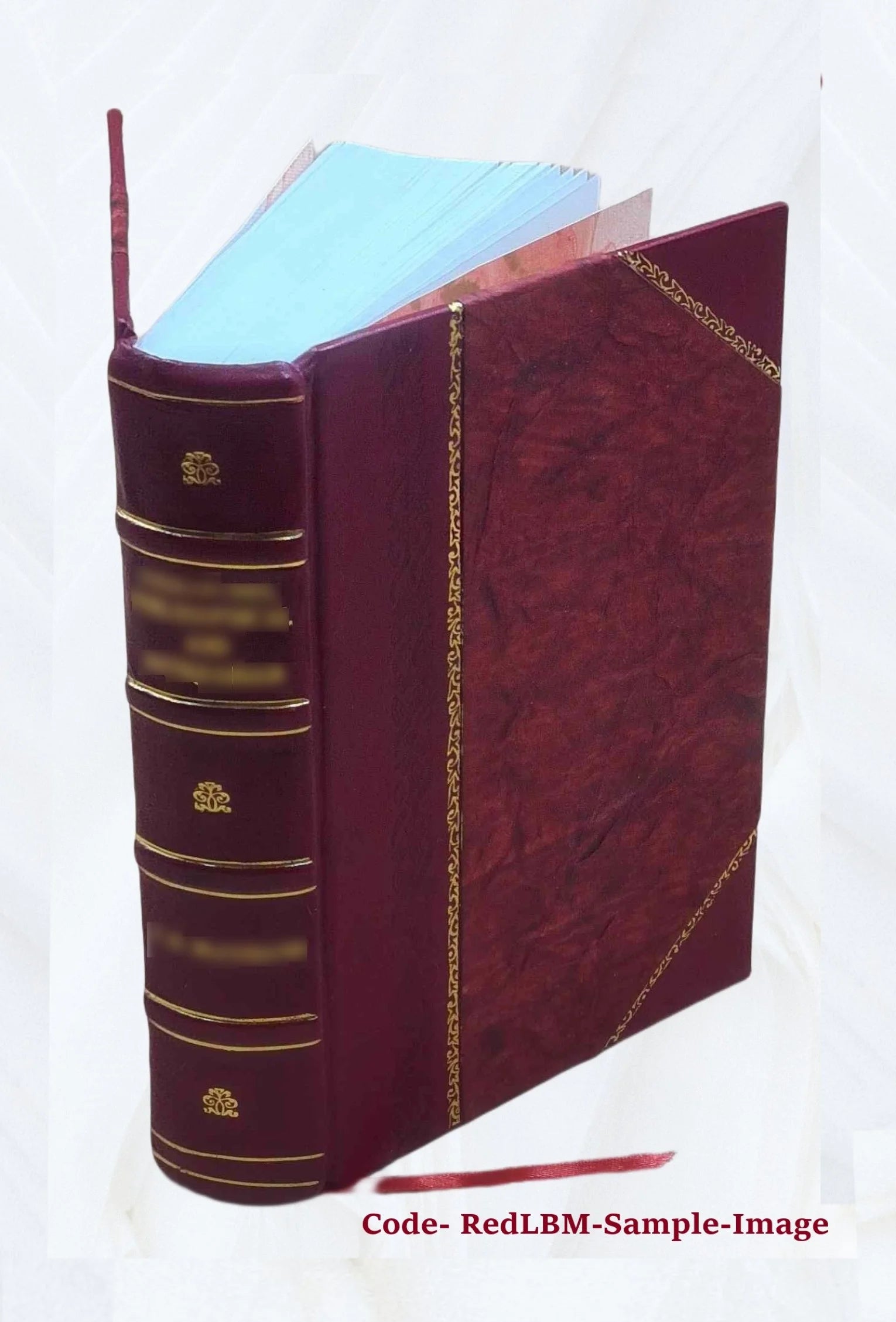 Leather Bound Dictionary F321524