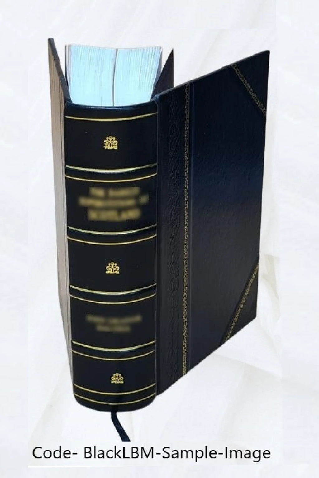 Leather Bound Dictionary F321524