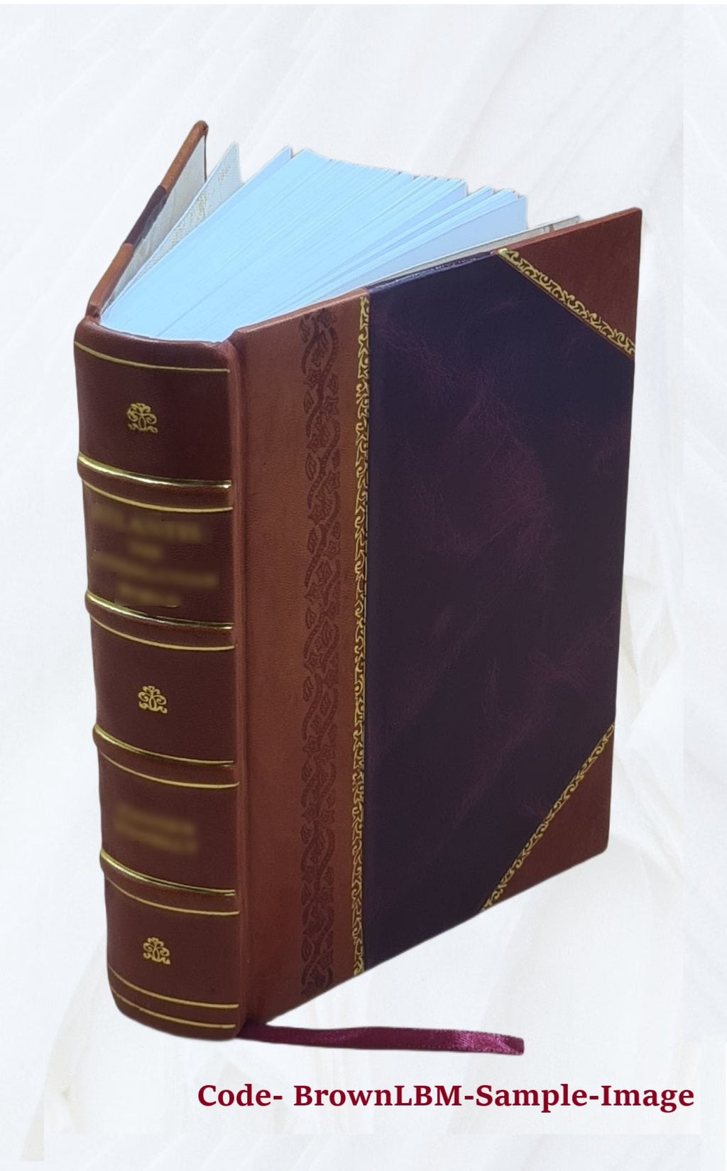 Leather Bound Dictionary F321524