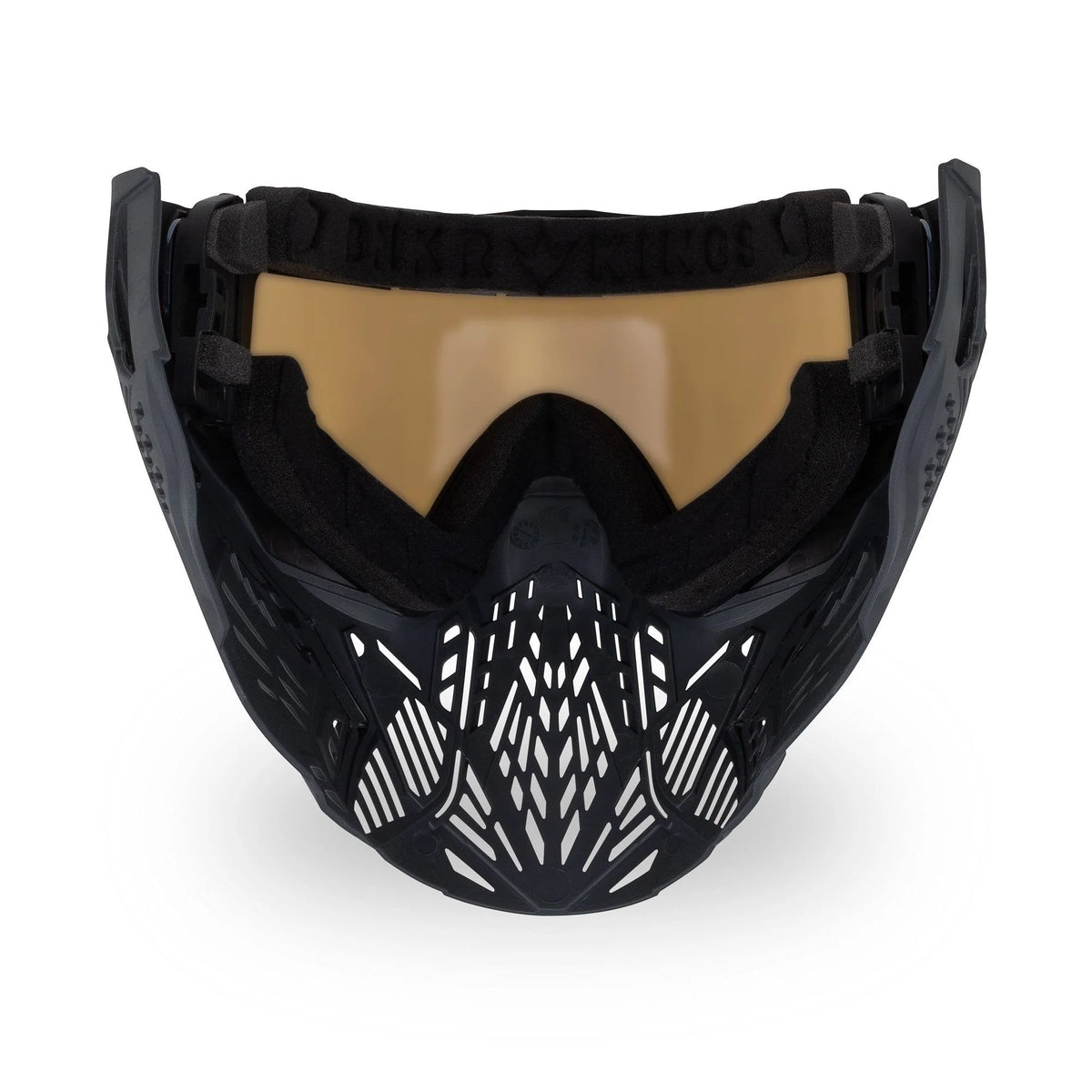 Black Carbon Goggle H773
