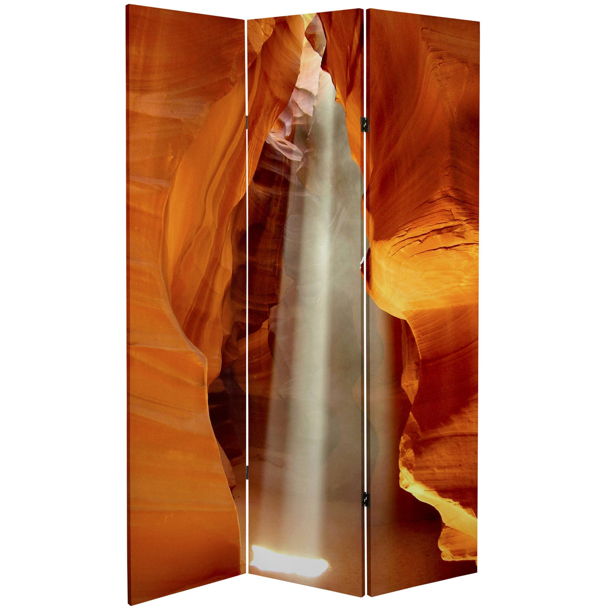 Tall Double Sided Painted Desert Canvas Room Divider Z16984