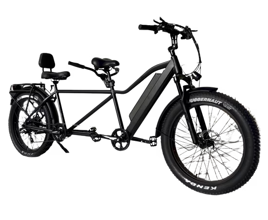 Electric Adventure Fat Tire Bike A718