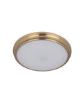 Satin Brass LED Flushmount D348
