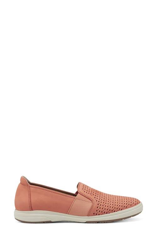 Cantaloupe Casual Shoes C2866