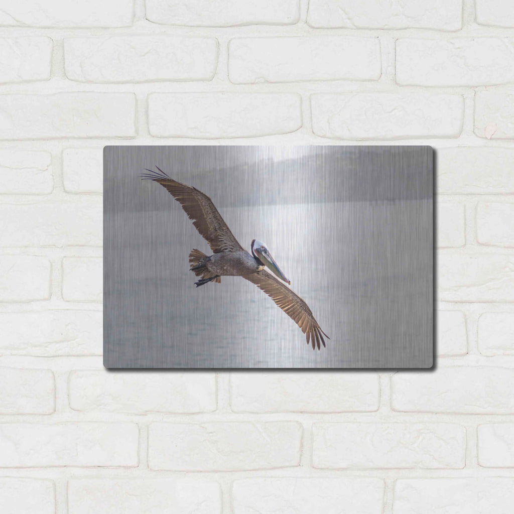 Metal Wall Art, 16"x12" O267