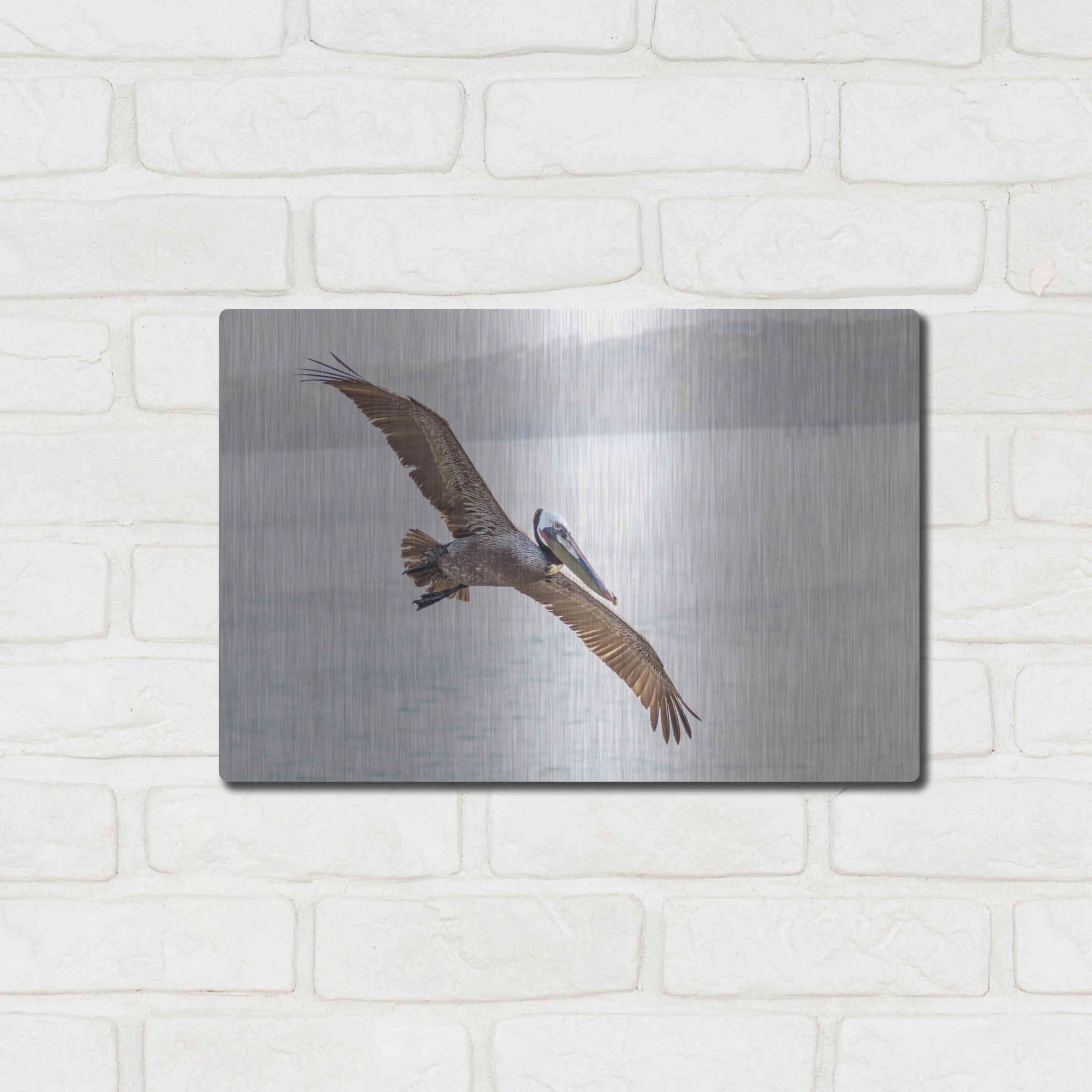 Metal Wall Art, 16"x12" O267