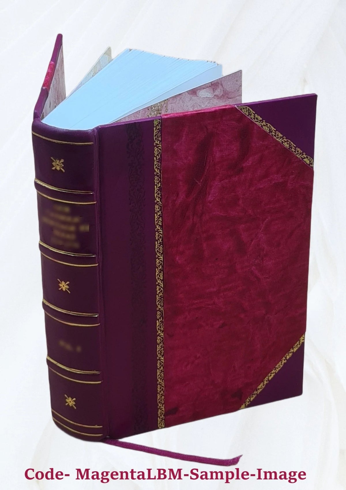 Leather Bound Dictionary F321524
