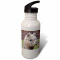 Sports Water Bottle, 21oz B57616