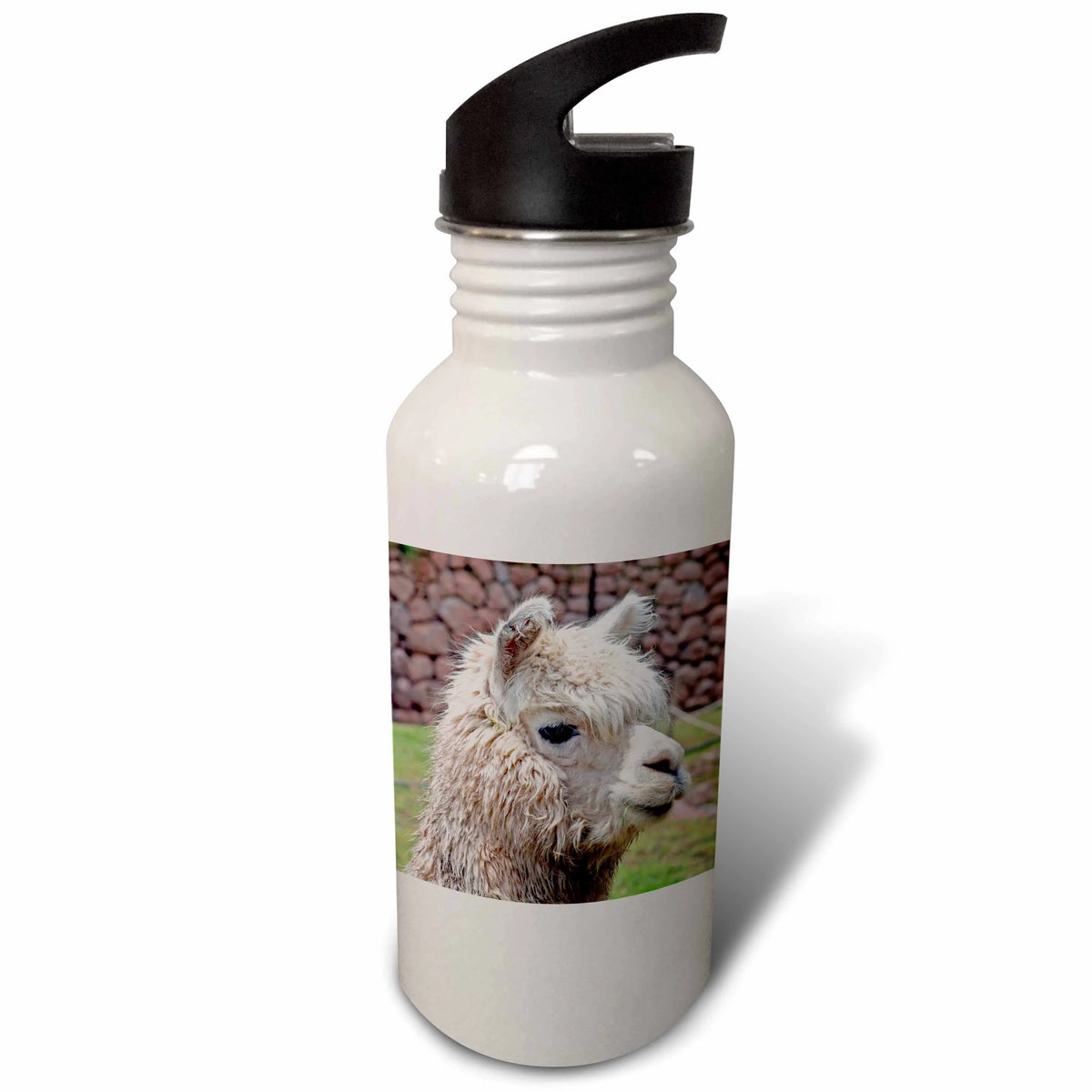Sports Water Bottle, 21oz B57616