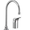 Kitchen Faucet I979