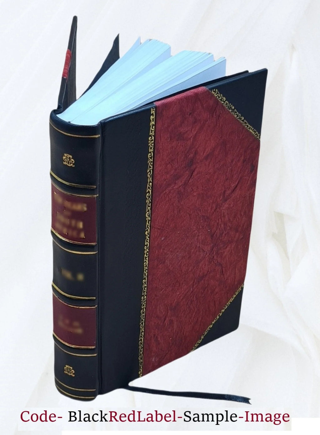 Leather Bound Book H444